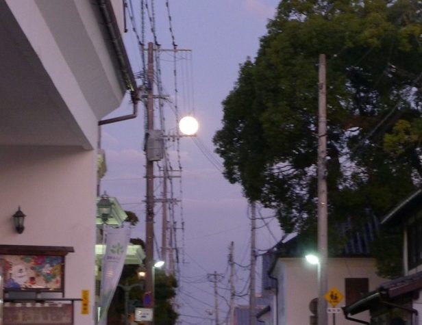 歴史民俗館付近で見た満月